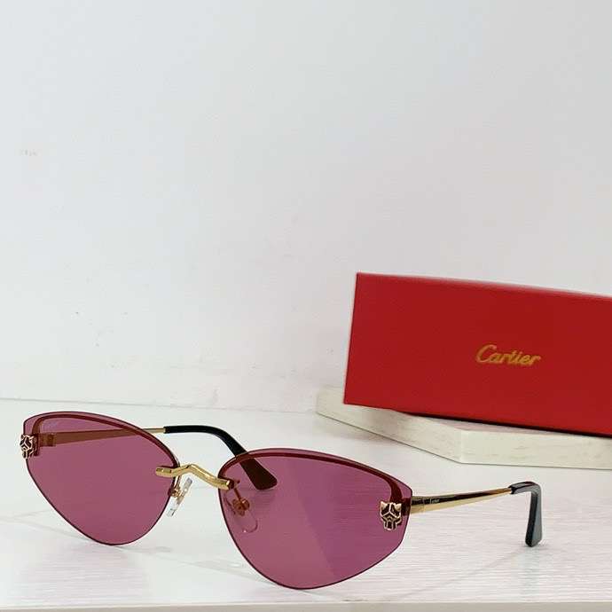 Picture of Cartier Sunglasses _SKUfw55596006fw